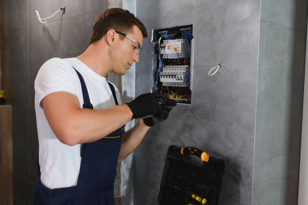 Best Generator Installation Services  in Detroit Lakes, MN
