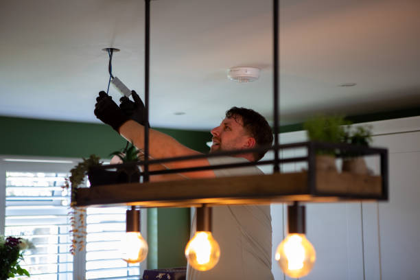 Best Industrial Electrical Services  in Detroit Lakes, MN